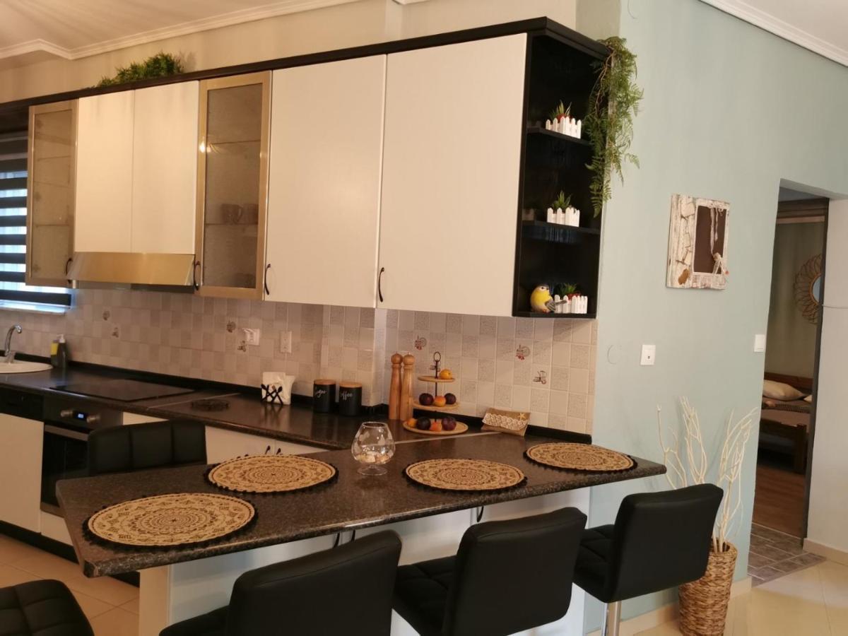 Theia Analipsi Central Apartment Kateríni Zewnętrze zdjęcie
