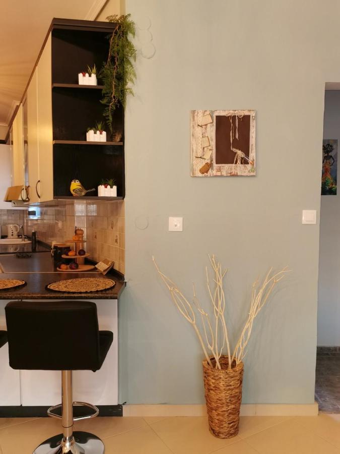 Theia Analipsi Central Apartment Kateríni Zewnętrze zdjęcie